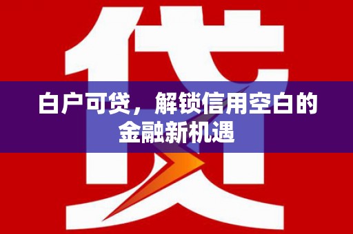 茂名白户可贷，解锁信用空白的金融新机遇