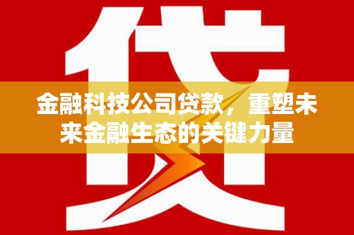 茂名金融科技公司贷款，重塑未来金融生态的关键力量