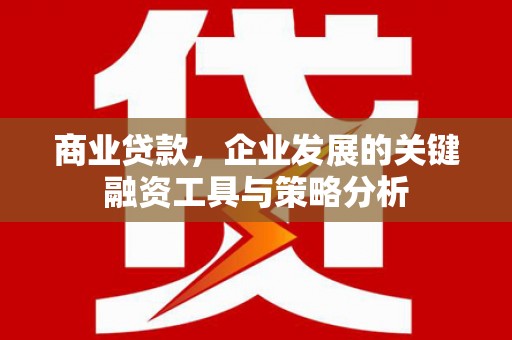 茂名商业贷款，企业发展的关键融资工具与策略分析