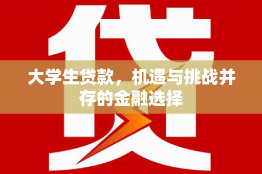 茂名大学生贷款，机遇与挑战并存的金融选择